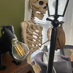 Гостевой дом Dracula Уитби