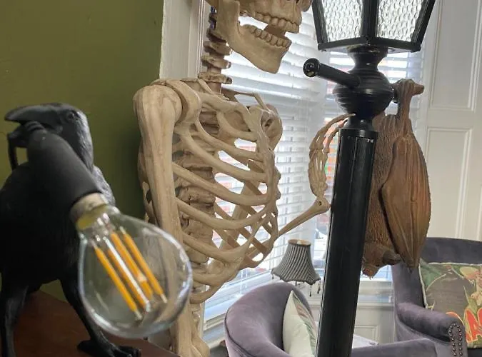 招待所 Dracula 惠特比