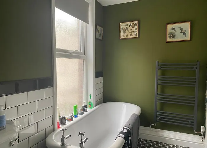 Casa de hóspedes Dracula 3*